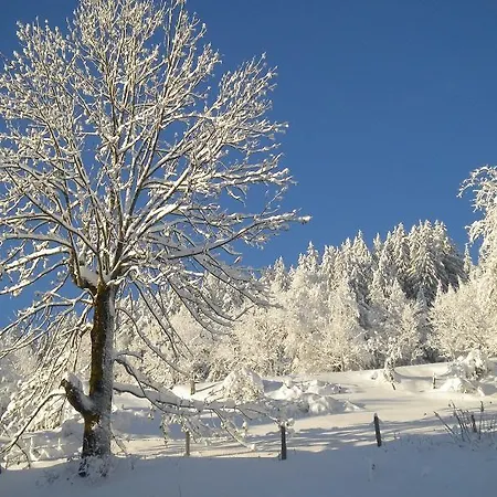 Hohenstein Farm stay