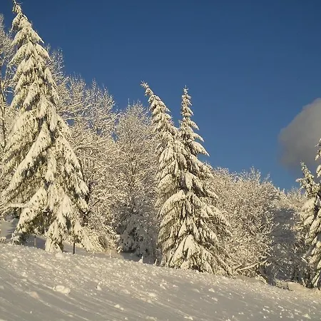 Farm stay Hohenstein Lunz am See