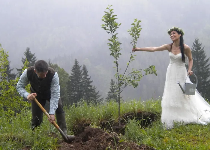 Hohenstein Farm stay