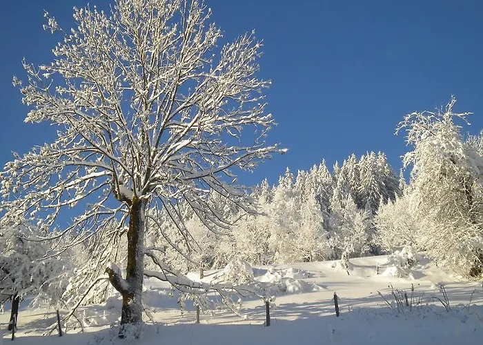 Höhenstein Bauernhof