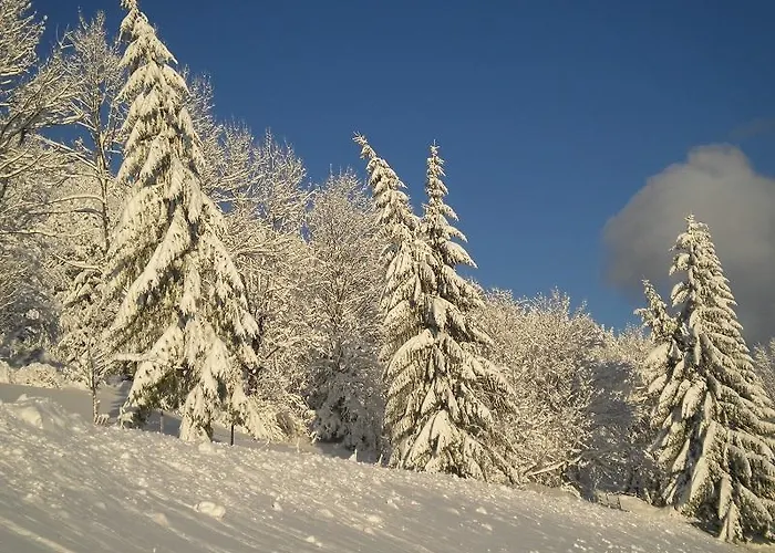 Bauernhof Höhenstein Lunz am See